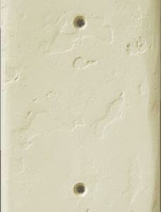 Hand Trowel Two Outlet Blank Plate