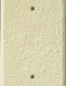 Orange Peel Two Outlet Blank Plate